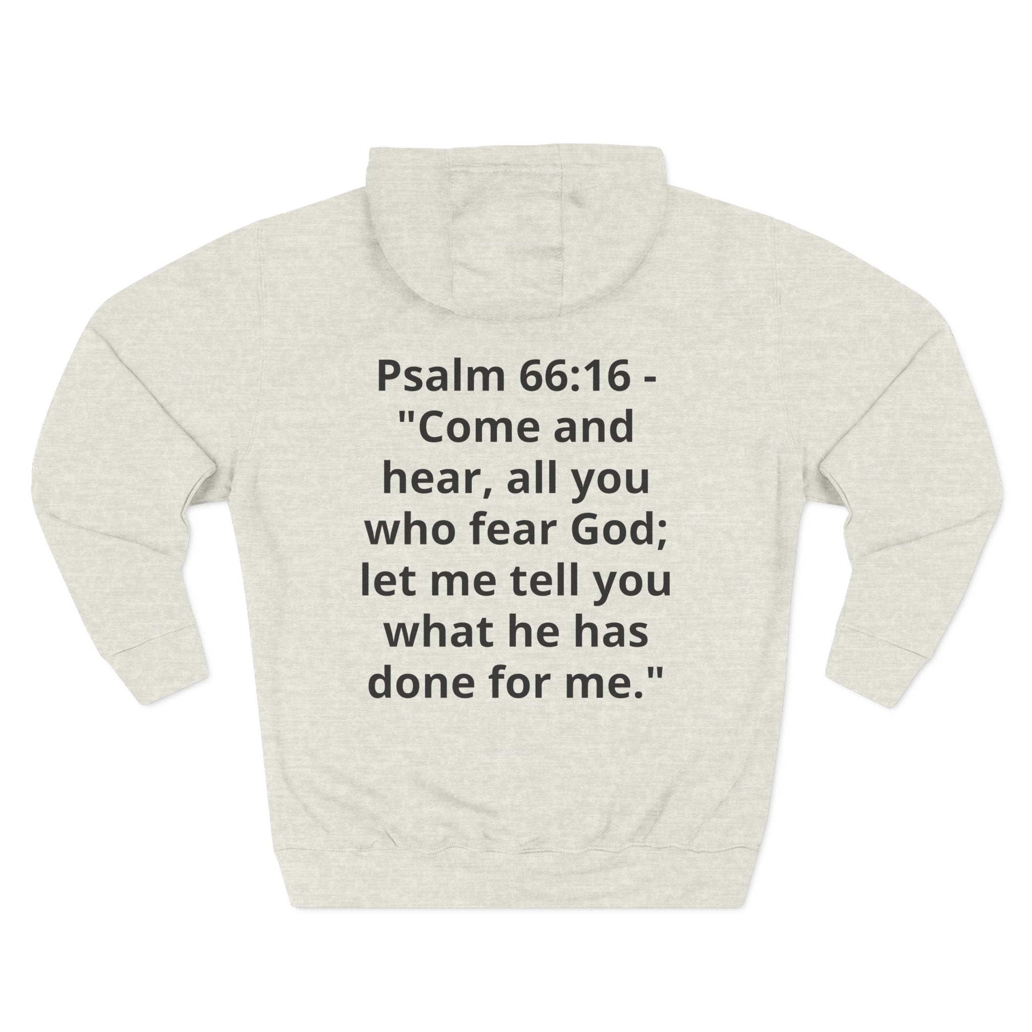 Three-Panel Fleece Hoodie