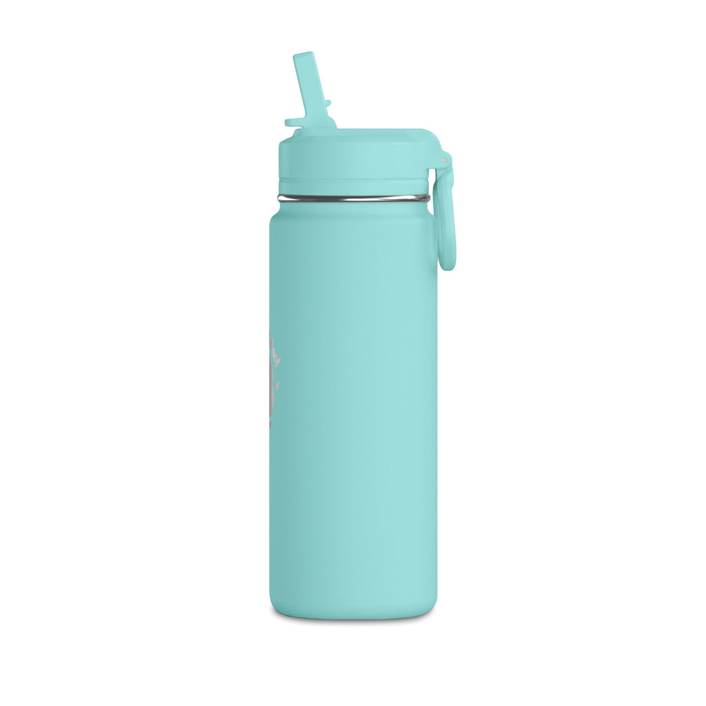 Insulated 20oz Pink Mini Water Bottle with "Ready to Shine" Design