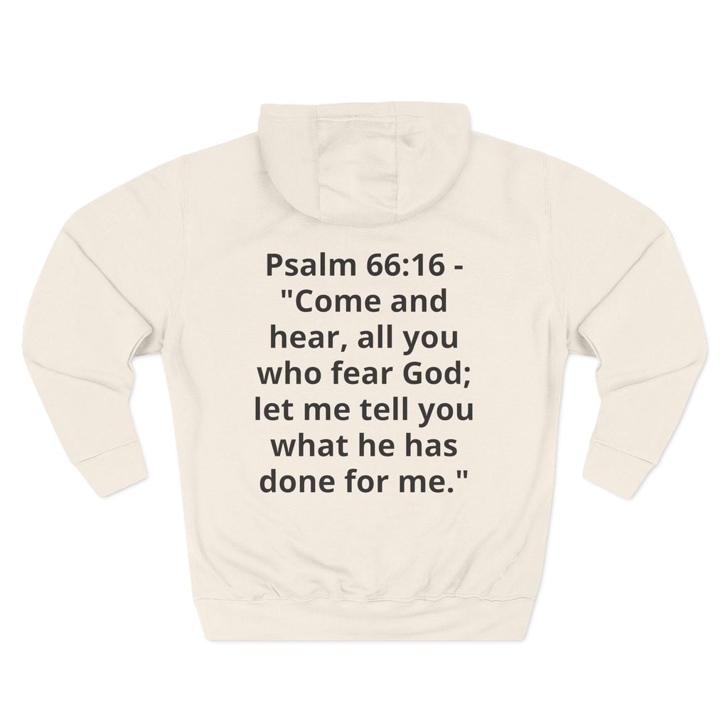 Three-Panel Fleece Hoodie