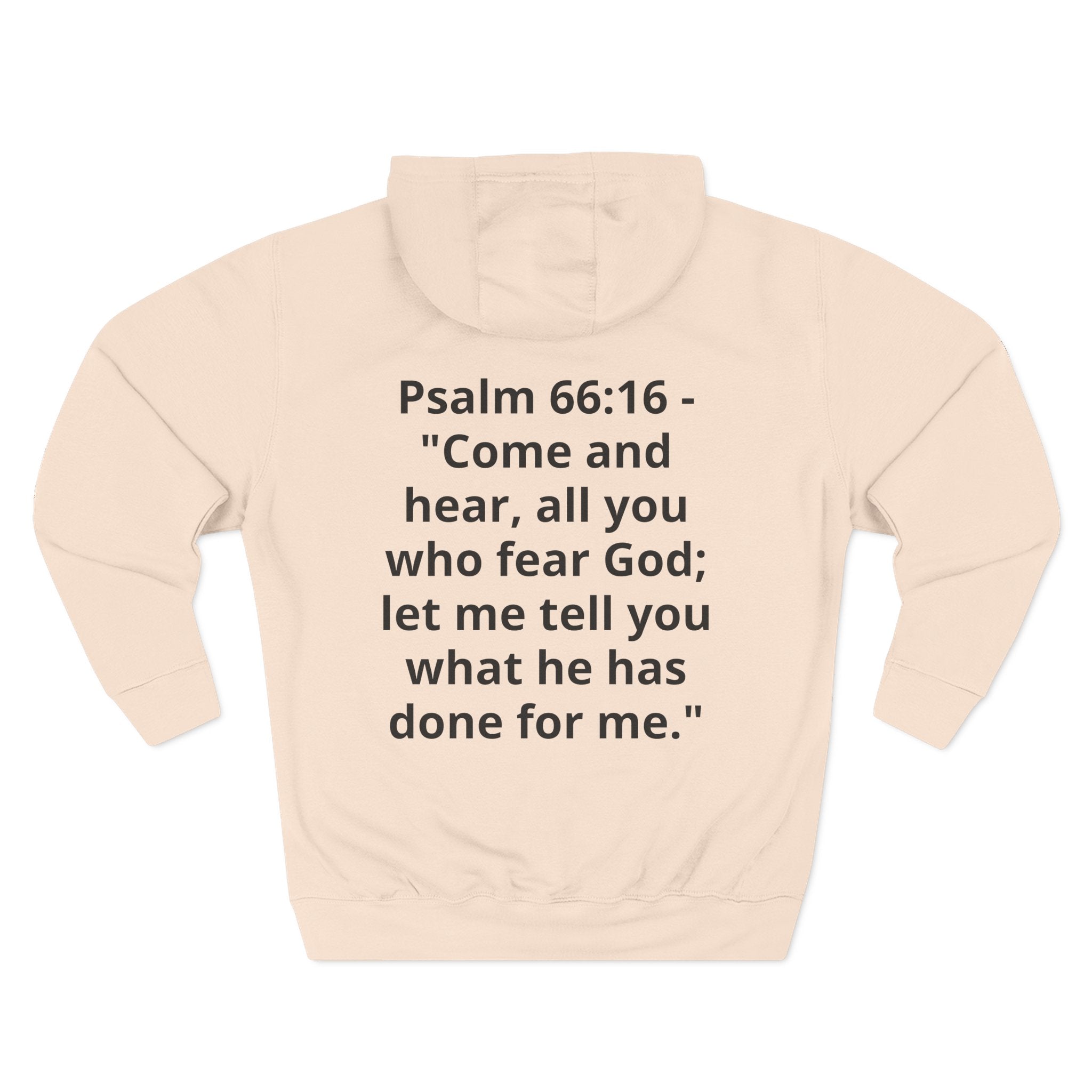 Three-Panel Fleece Hoodie