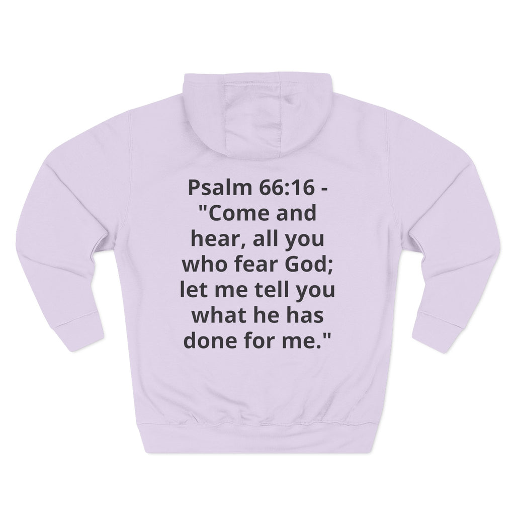 Three-Panel Fleece Hoodie