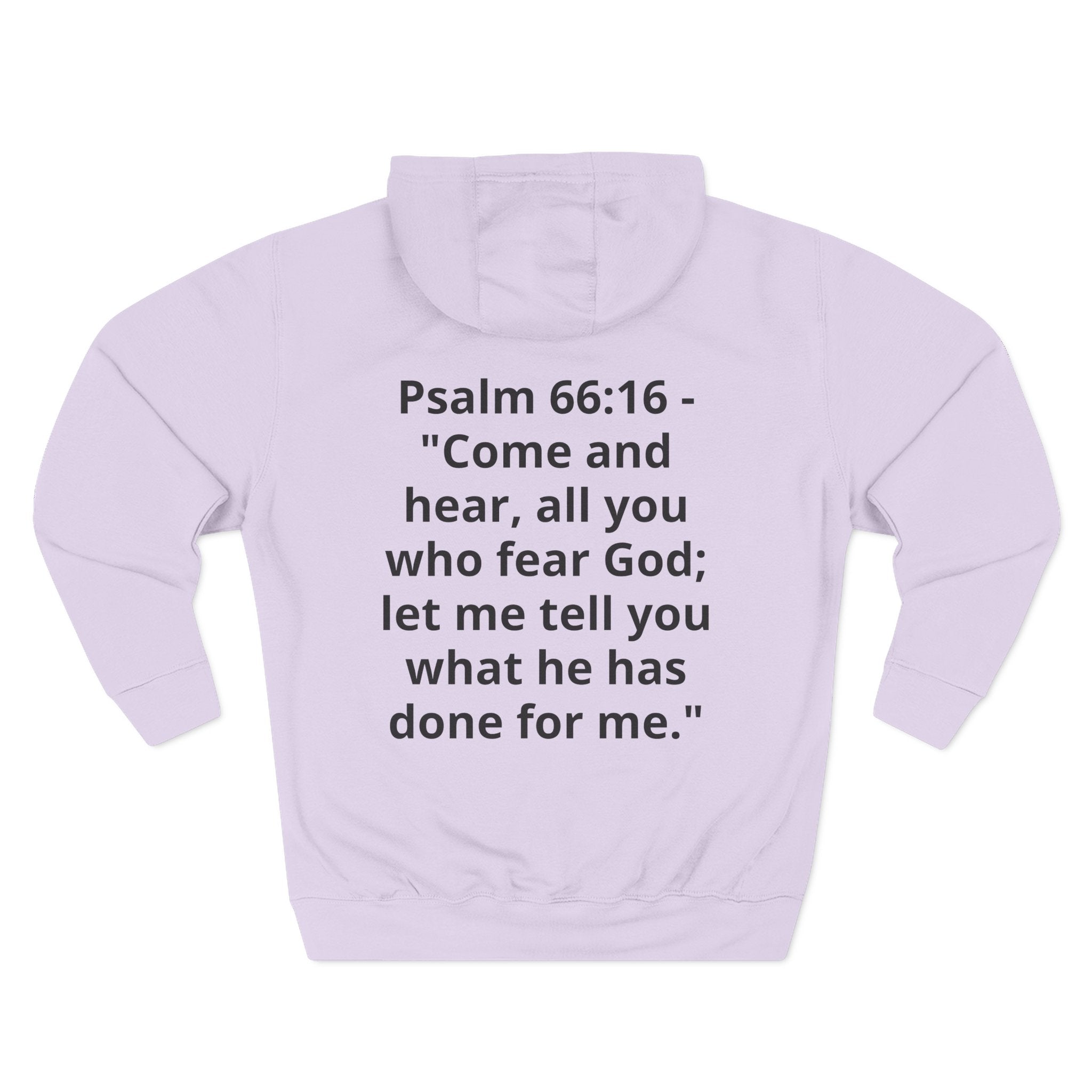 Three-Panel Fleece Hoodie