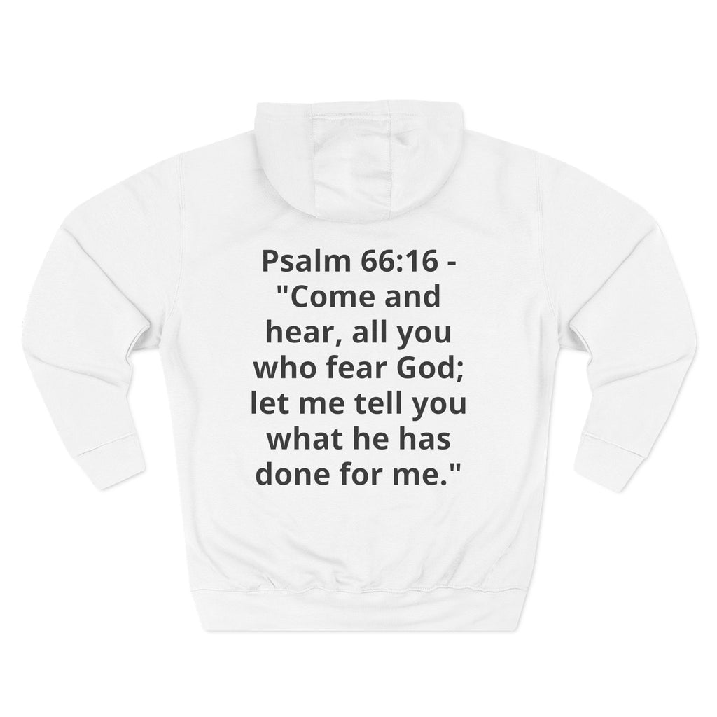 Three-Panel Fleece Hoodie