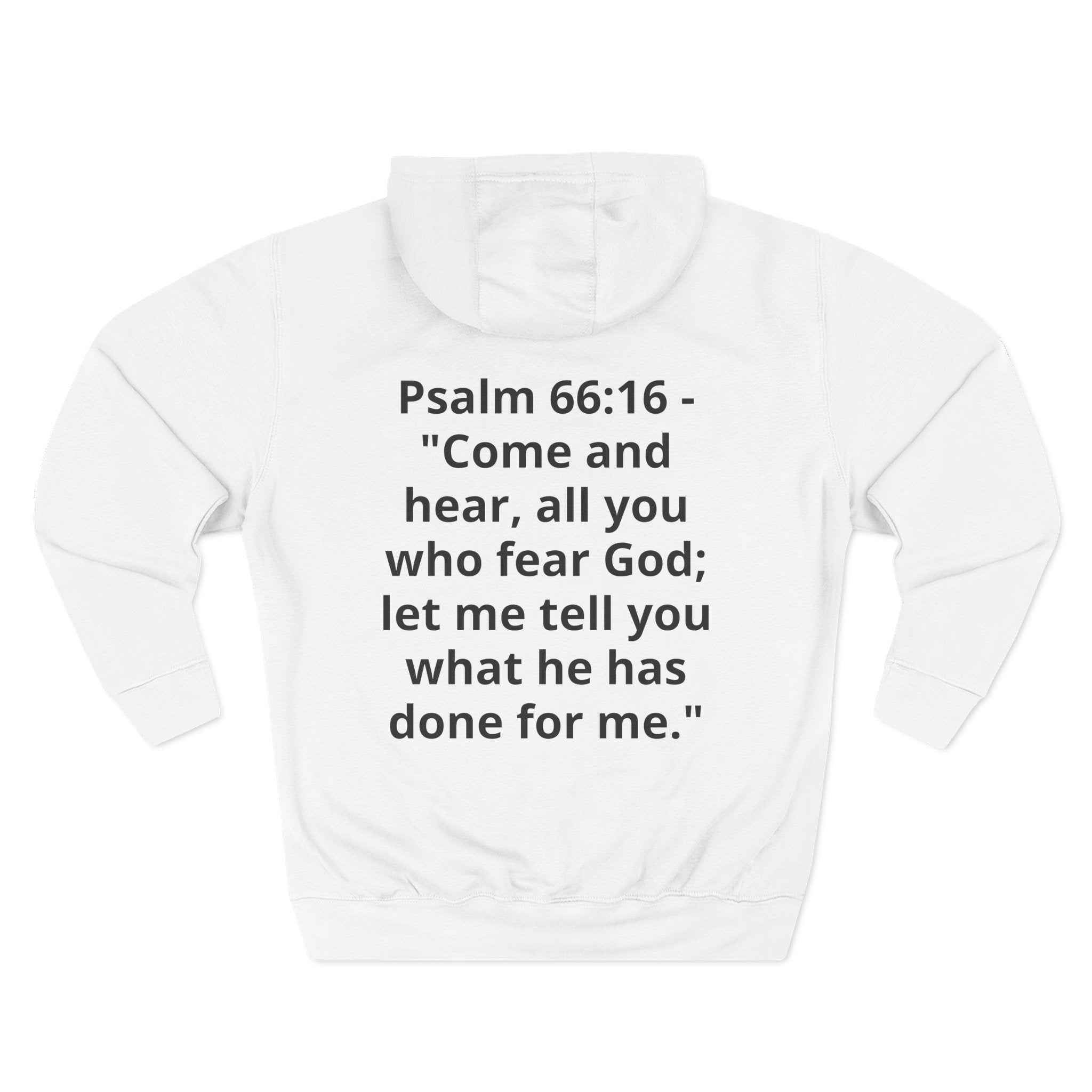 Three-Panel Fleece Hoodie
